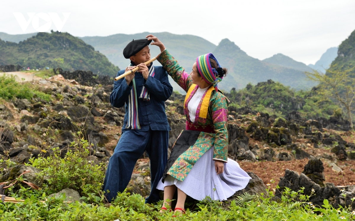 khau vao meo vac market