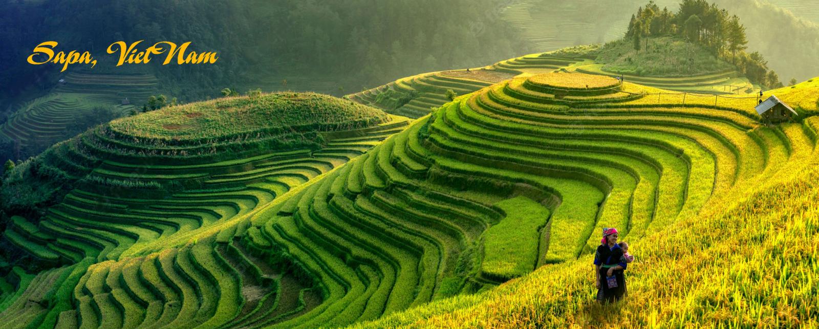  TRIBUS ÉTNICAS DEL NORTE DE VIETNAM